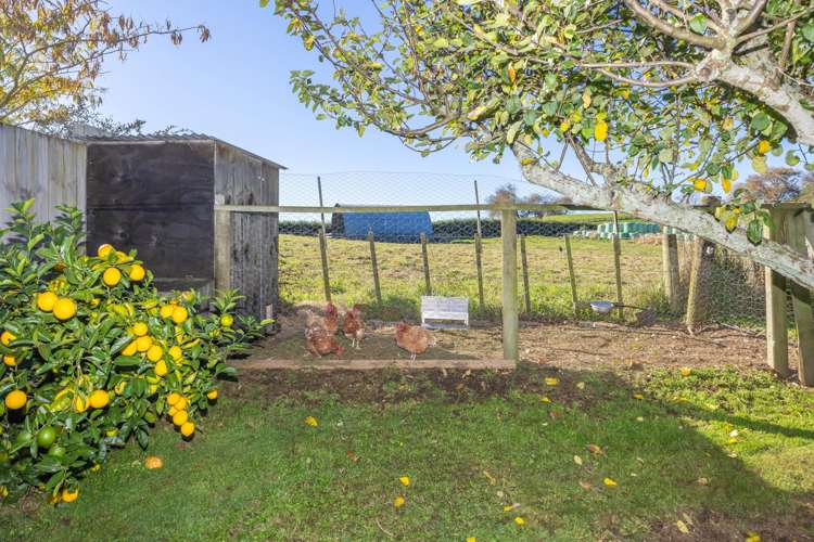 680 Picquet Hill Road Te Awamutu_14