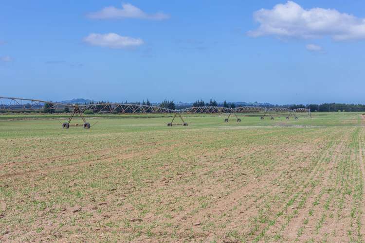 210 Stubbs Road Oxford_6