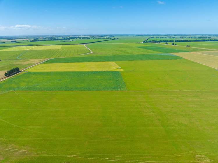 1372 South Two Chain Road Dunsandel_5