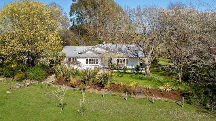31 Wills Road Upper Moutere_28