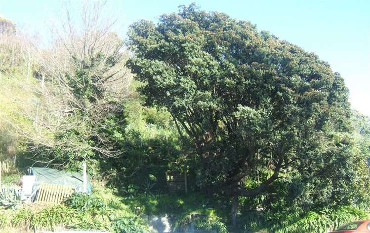 229 Haven Road Stepneyville_3