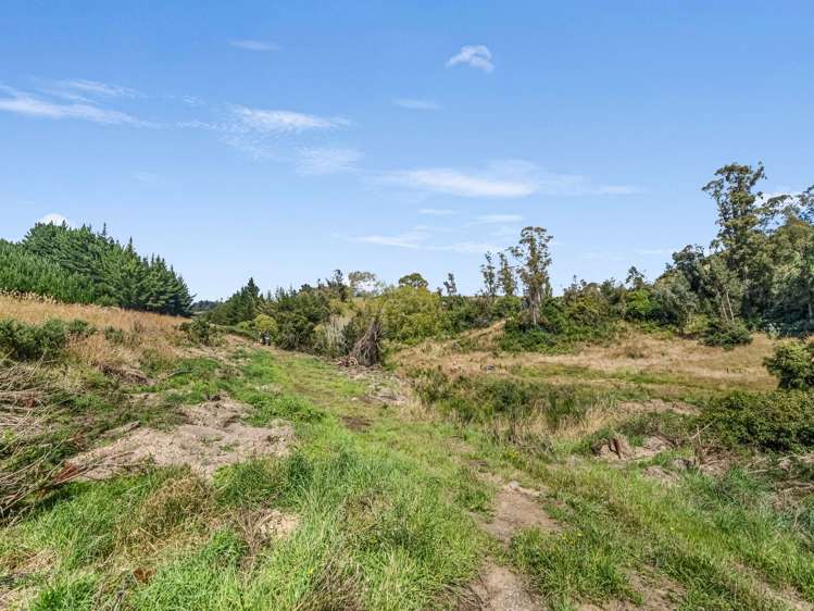 2705 Waikouaiti-Waitati Road Waikouaiti_8