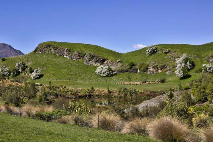 2 Macauley Lane Millbrook Resort_6