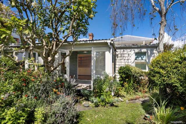 3 Northland Street Grey Lynn_2