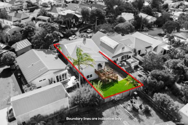 3 Allen Road Grey Lynn_1