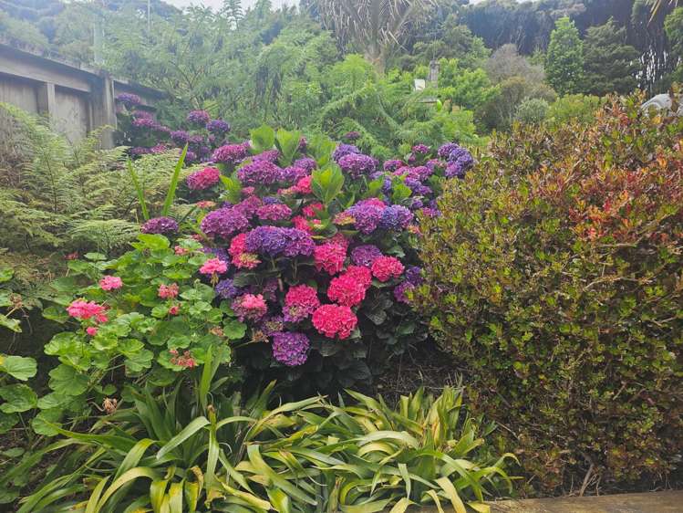 40 Blackwell Drive Great Barrier Island_30