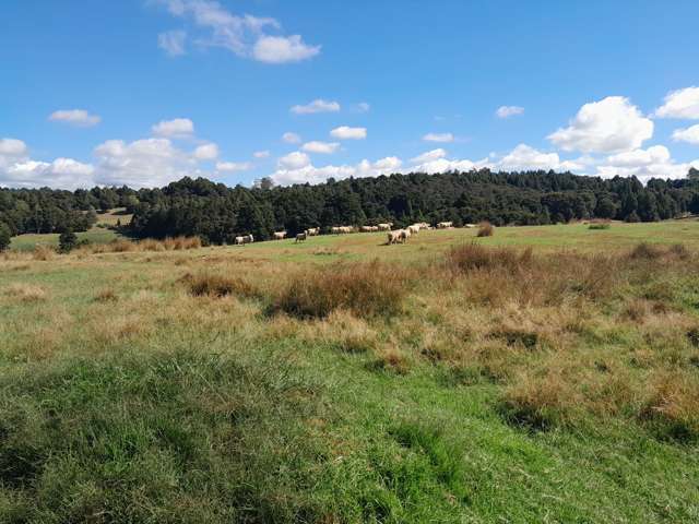 660 Waimate North Road Kerikeri_1
