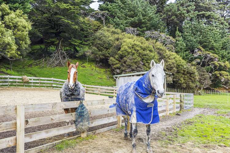 781 Ohariu Valley Road Ohariu_14