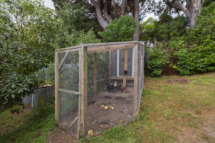 4 Taimana Lane Diamond Harbour_28