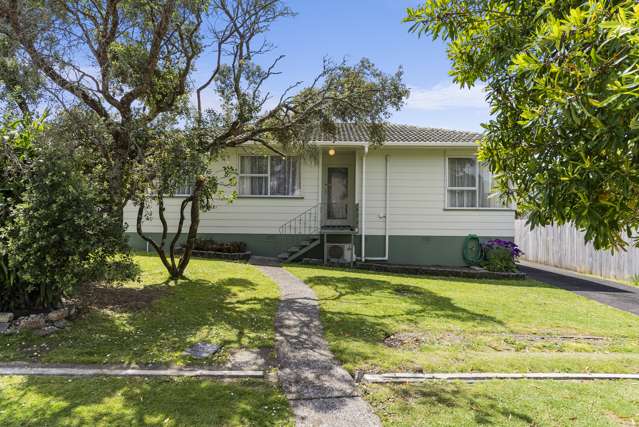 50 Felgrove Street Glendene_1