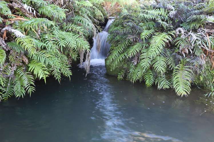 263a Ngatitangata Road Waihi_1