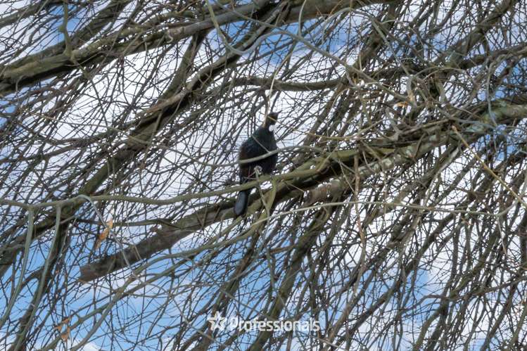 21 Exchange Street Ebdentown_22