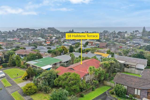 18 Halldene Terrace Red Beach_1