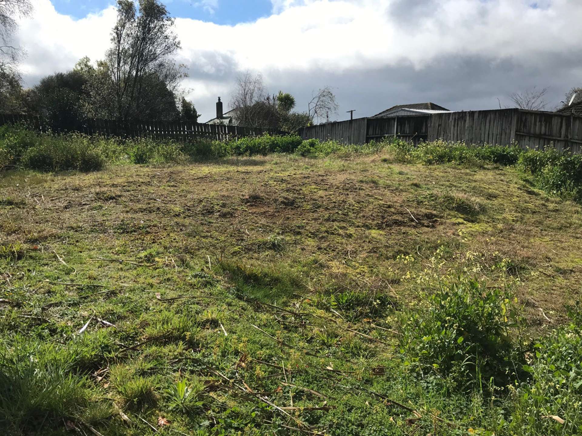 13a Albert Street Waihi_0