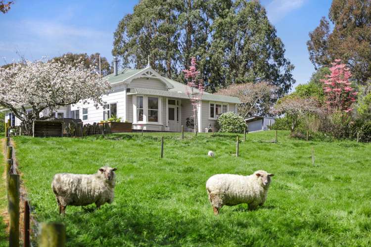 122 Malling Road Redwood Valley_5