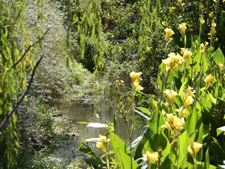 243b Manaia Road Masterton_23