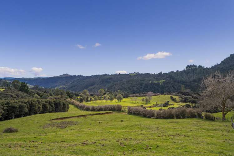 850 Rangihau Road Coroglen_8