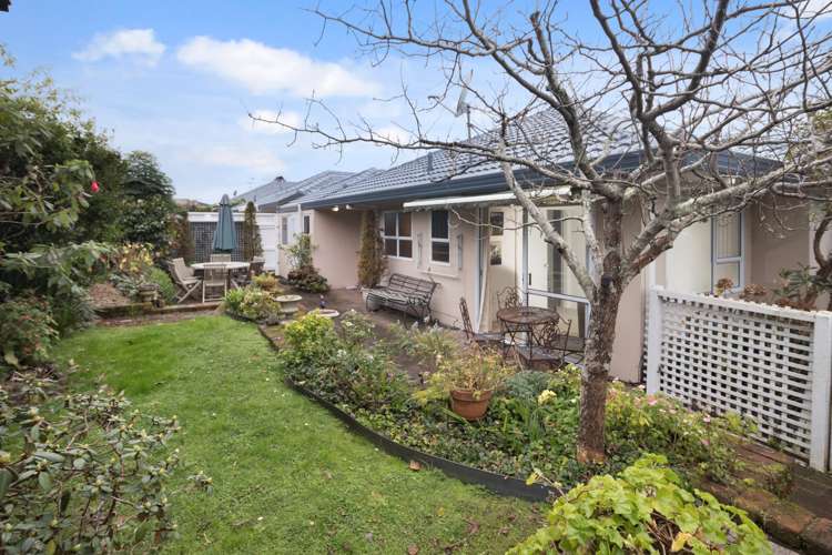 3/10 Gerard Way Saint Johns_13