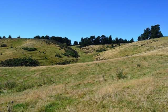 West Maerewhenua Road North Otago Surrounds_4