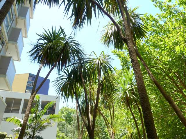 1a/109 Vincent Street Auckland Central_1