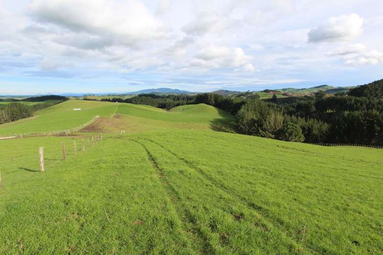 553 Buckland Road Matamata_2