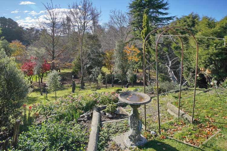 54 Mcqueens Road Cheviot_18