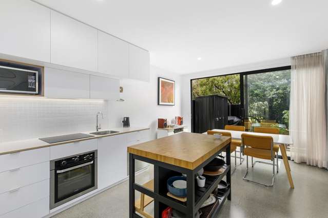 13 Te Ara O Paetutu Petone_3