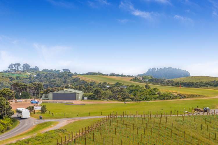 171 Carsons Road Waiheke Island_1
