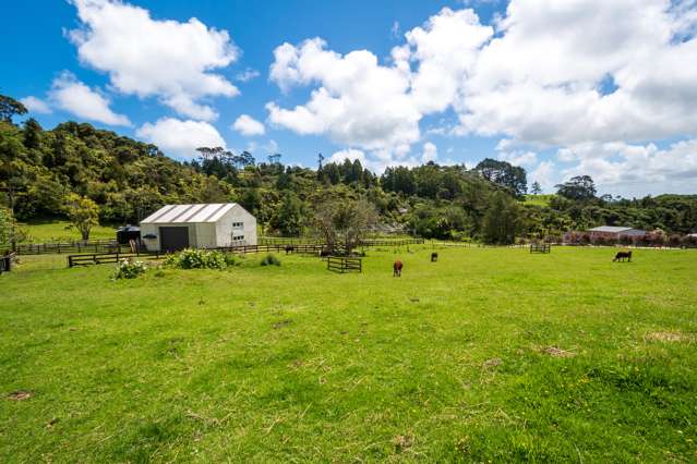 12 Mildon Road Waitakere_2