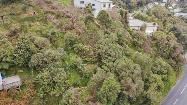 156 Raroa Road Aro Valley_5