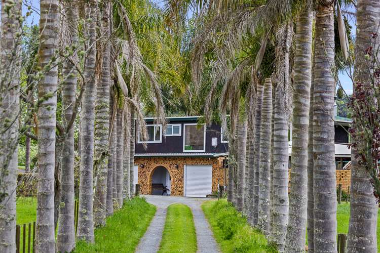 798 Woodcocks Road Kaipara Flats_8