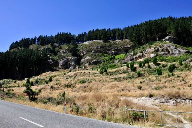 Horse Range Road Moeraki_12