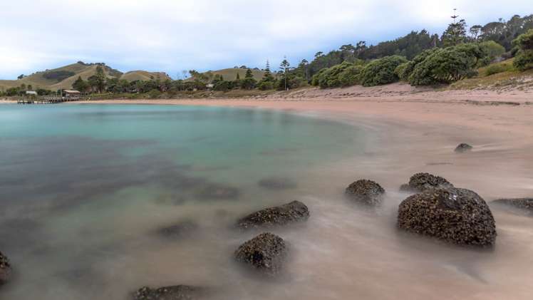 190 Pacific Ocean, Slipper Island (Whakahua) Thames_8