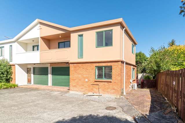 59b Astley Avenue New Lynn_2