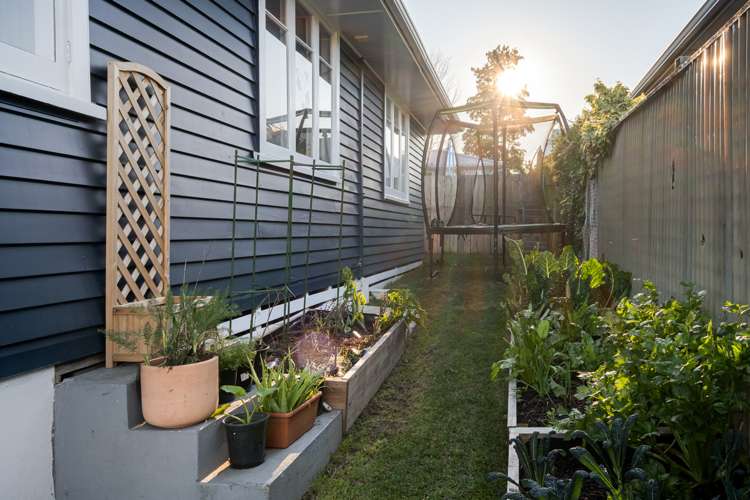 41 Hampton Terrace Parkvale_14