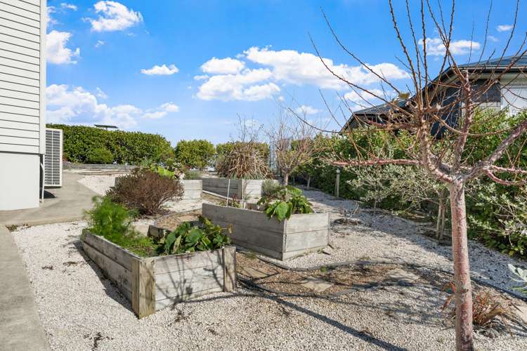 38 Discovery Drive Gulf Harbour_31