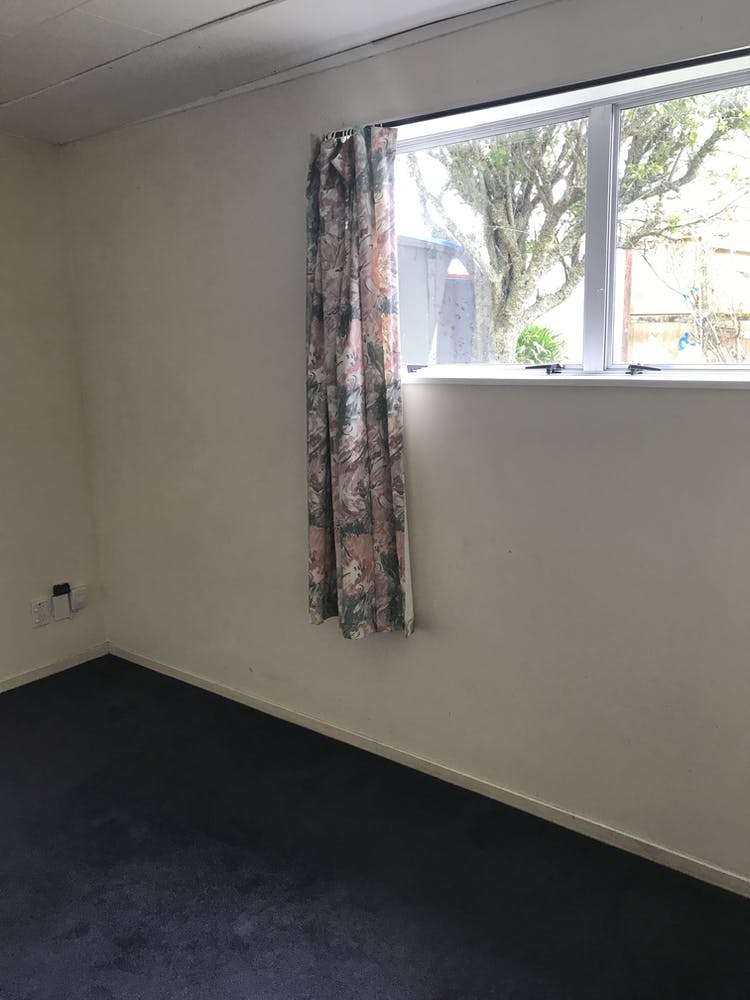 448a Hillsborough Road Mount Roskill_5