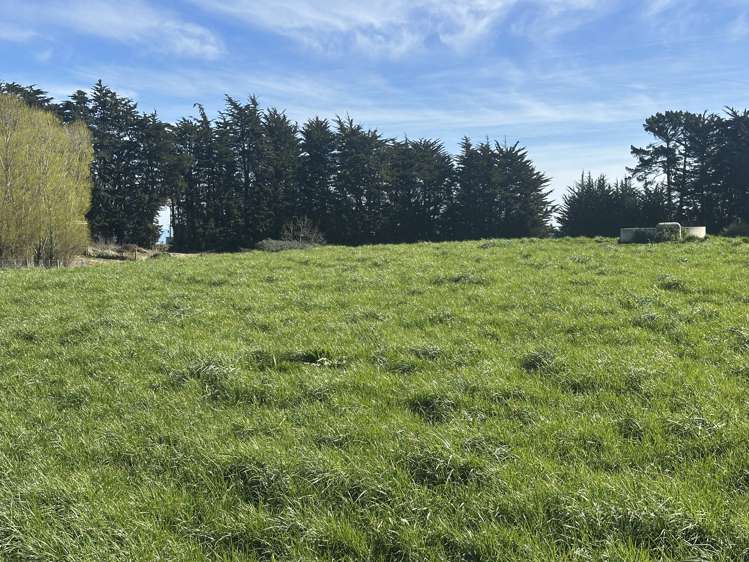 Hillend Road and Falla Burn Road Hillend_5