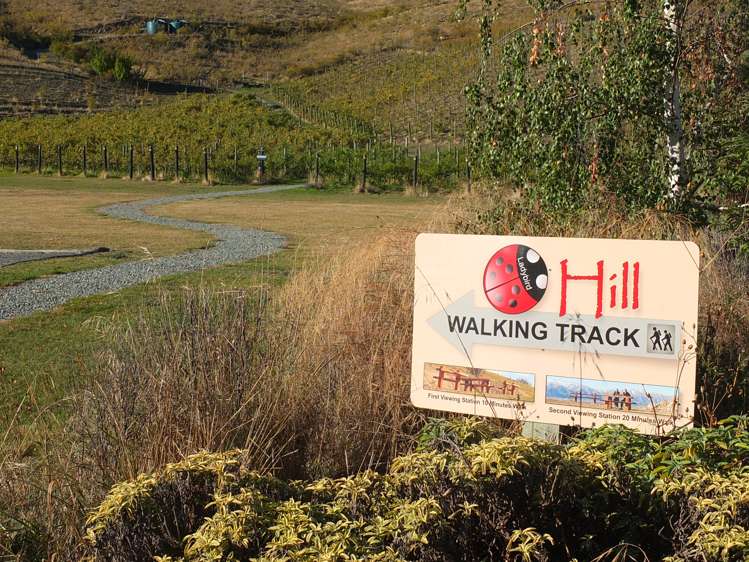 1 Pinot Noir Court Omarama_20