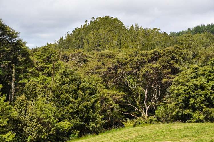 324 Glenmohr Road Waipu_17