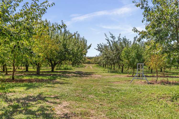 122 Pugh Road Hope_15