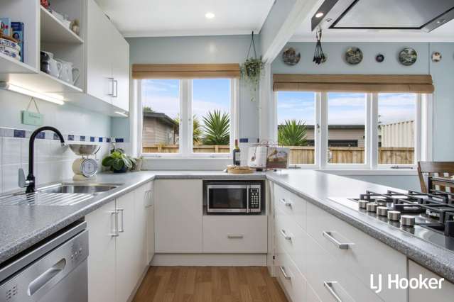 103a Parry Palm Waihi_1