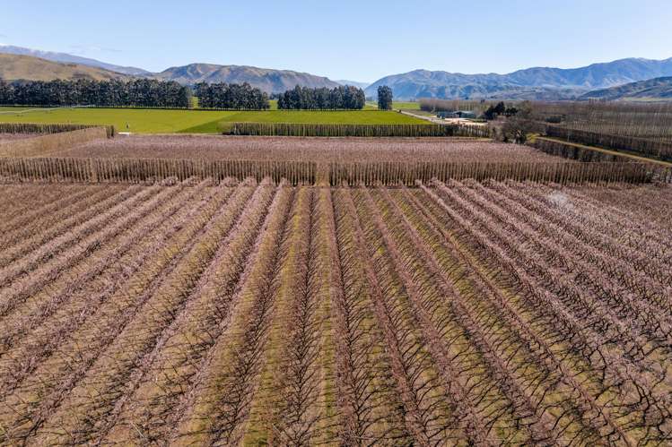 5221 Kurow Duntroon Road Duntroon_26