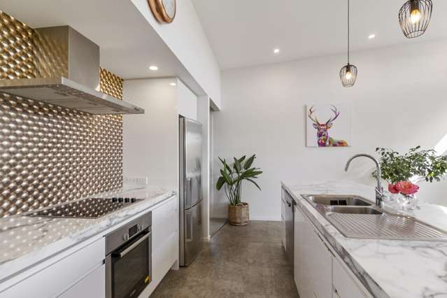 93 Dobson Street Gleniti_4