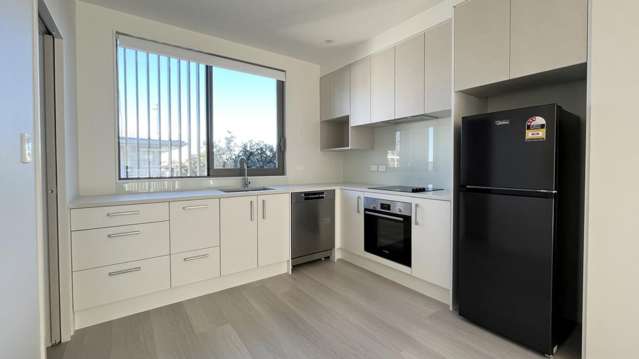 5/2 Moor Avenue Te Atatu Peninsula_2