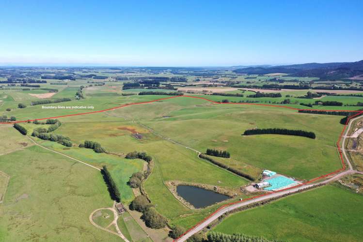 1550 Waimumu Road Te Tipua_20