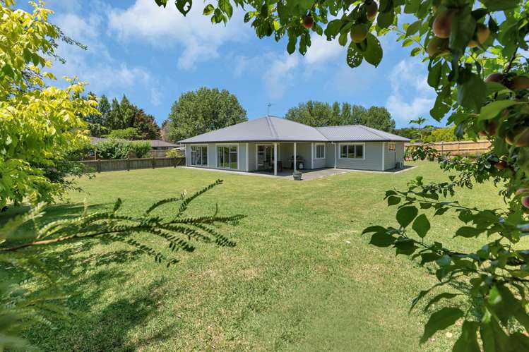 20B Ngunguru Road Glenbervie_0