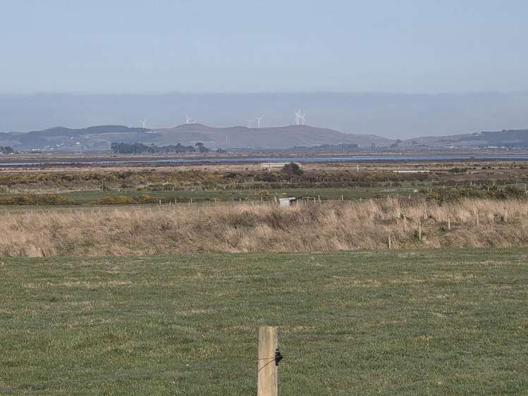 52 Ferguson Street_2