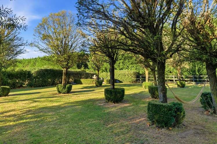886 Two Chain Road Swannanoa_41