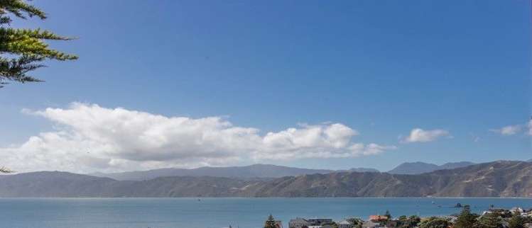 93 Tio Tio Road Seatoun_2